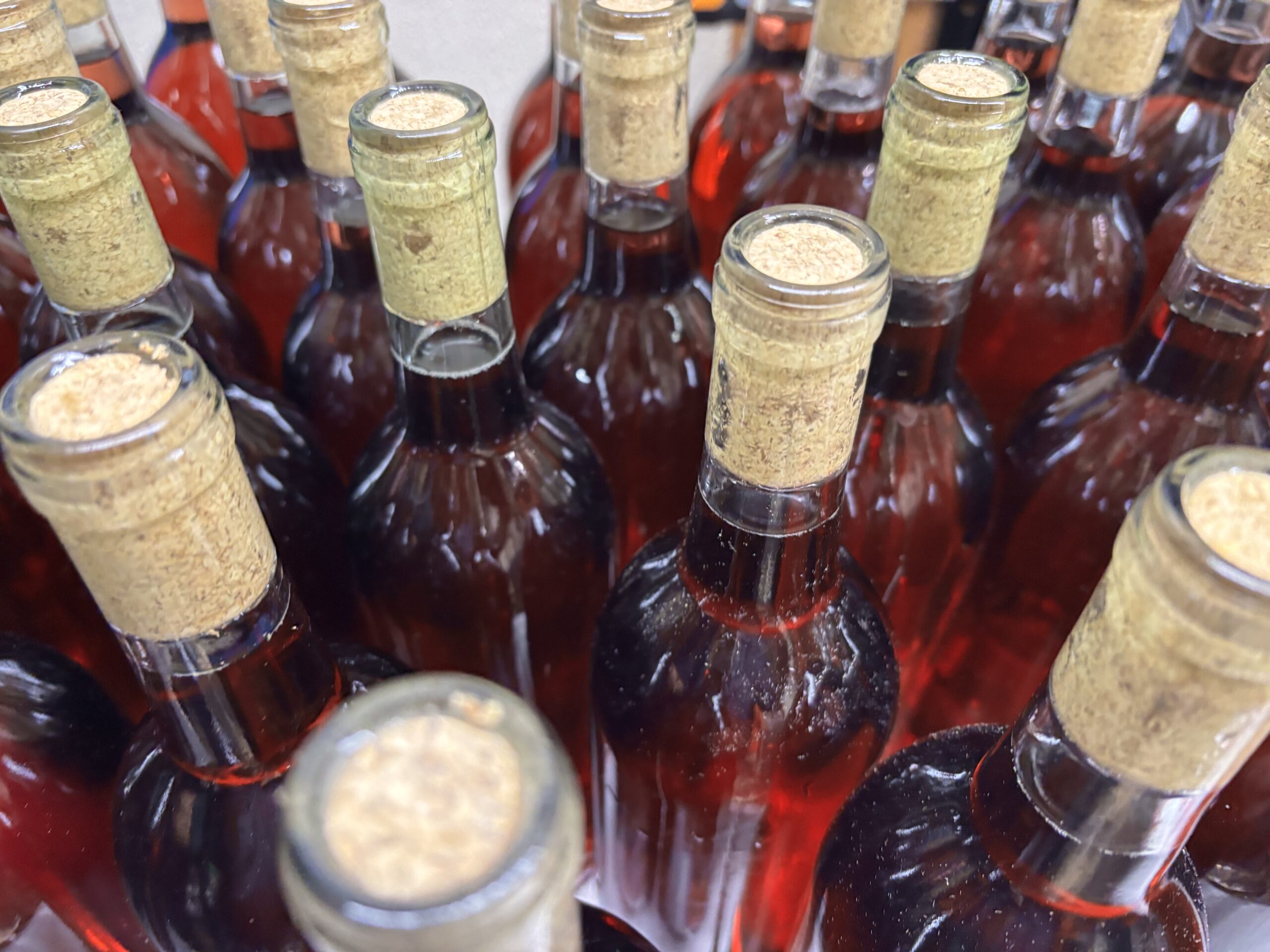 How New Jersey Chambourcin Wine Is Made: Bottling Day at the Carriage House Winemakers Club