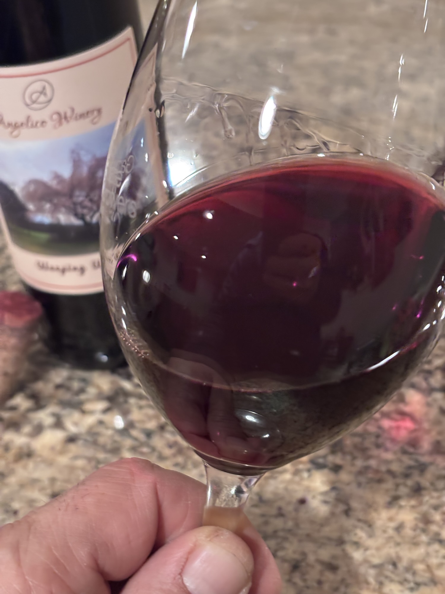 Weekly Wine Review: Discovering New Jersey Barbera at Angelico Winery